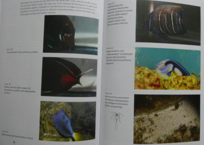 Pagina2 boek ziekten tropische zeevissen