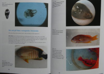 A preview of the English book "New Marine Book" page 56-57