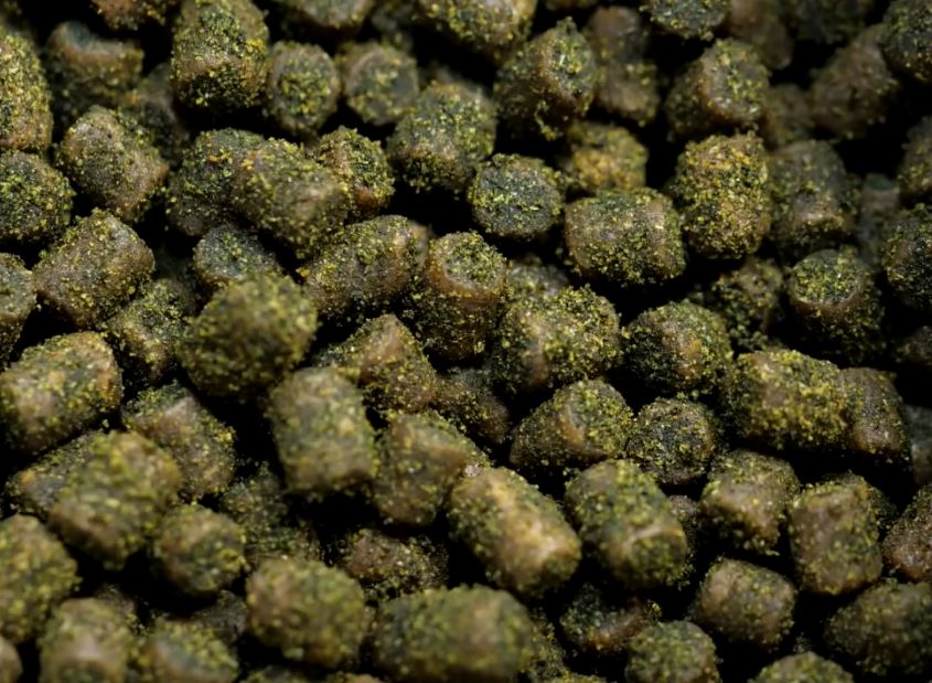 A zoomed in picture of Dr. bassleer biofish food green granulate